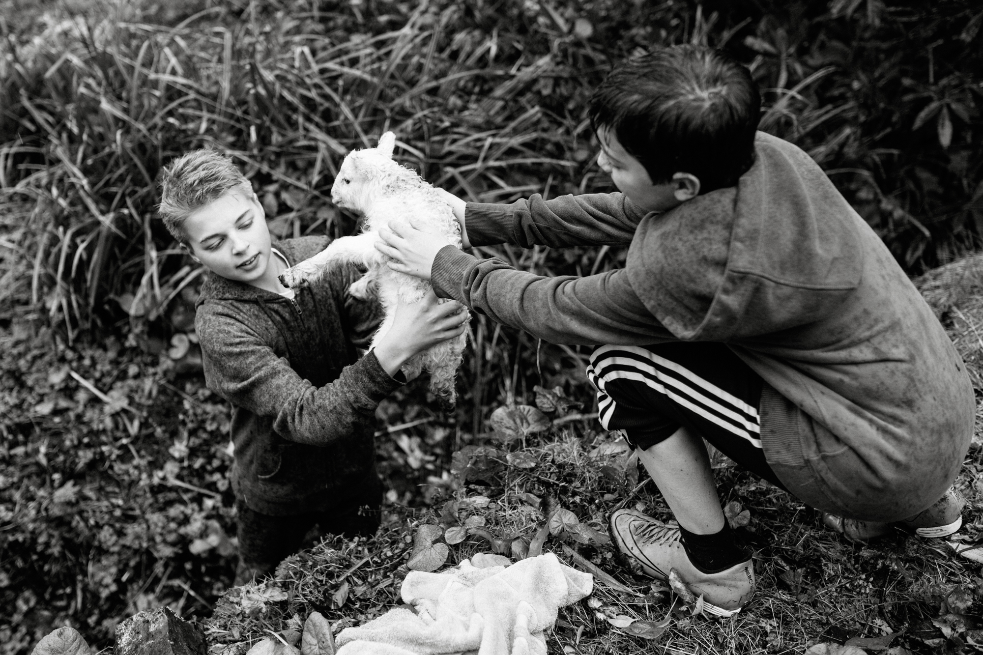Spring arrives early in Wales. Honest, natural family portrait photography. London Children Photography 