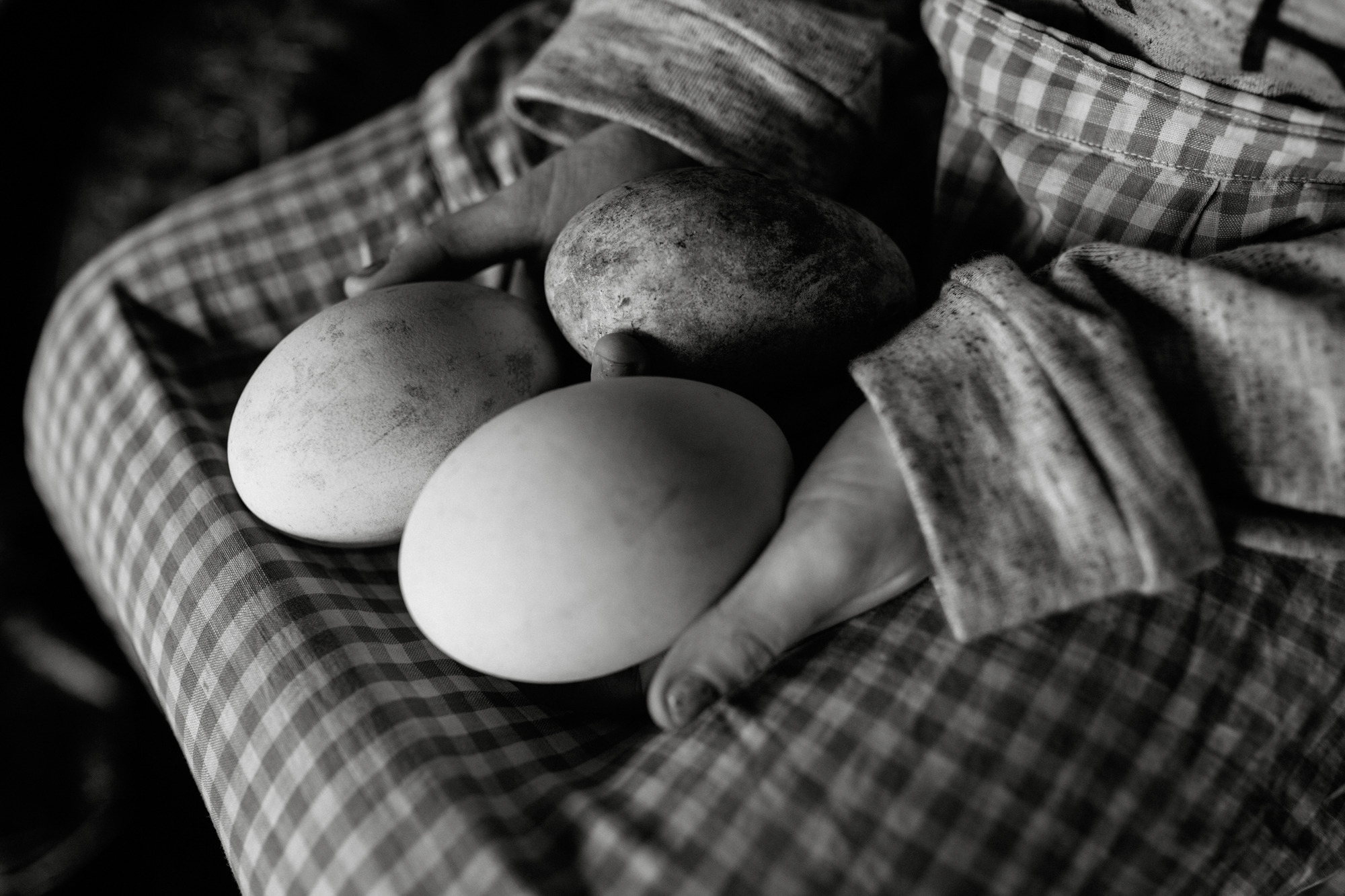 Spring arrives early in Wales. Honest, natural family portrait photography. London Children Photography 