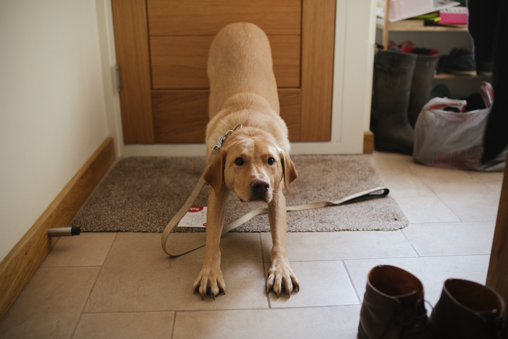 South London documentary family photographer London Children Photography 