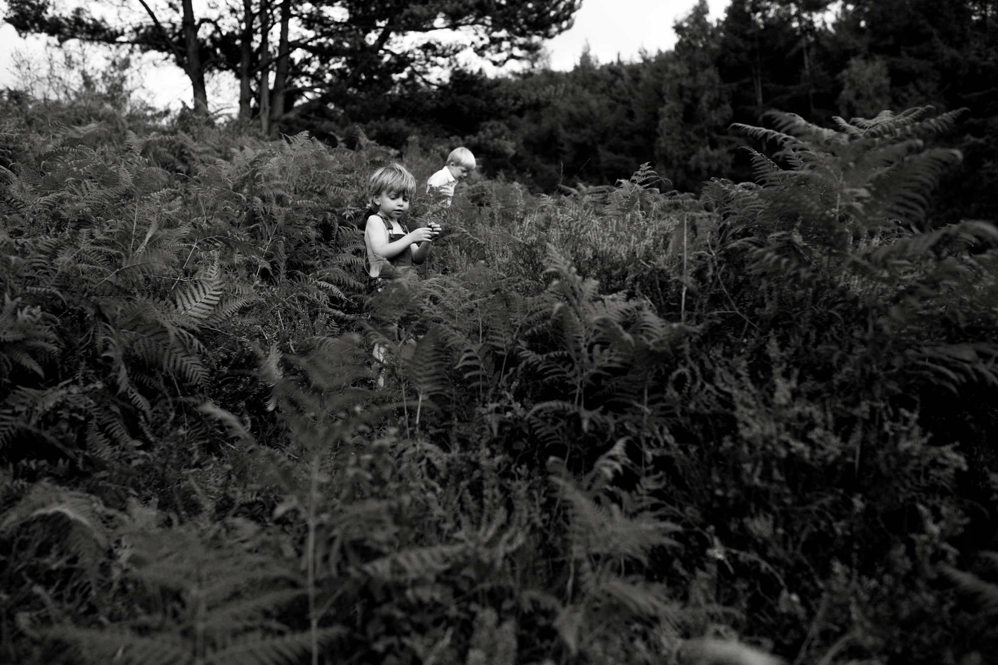 Surrey family portraits London Children Photography 