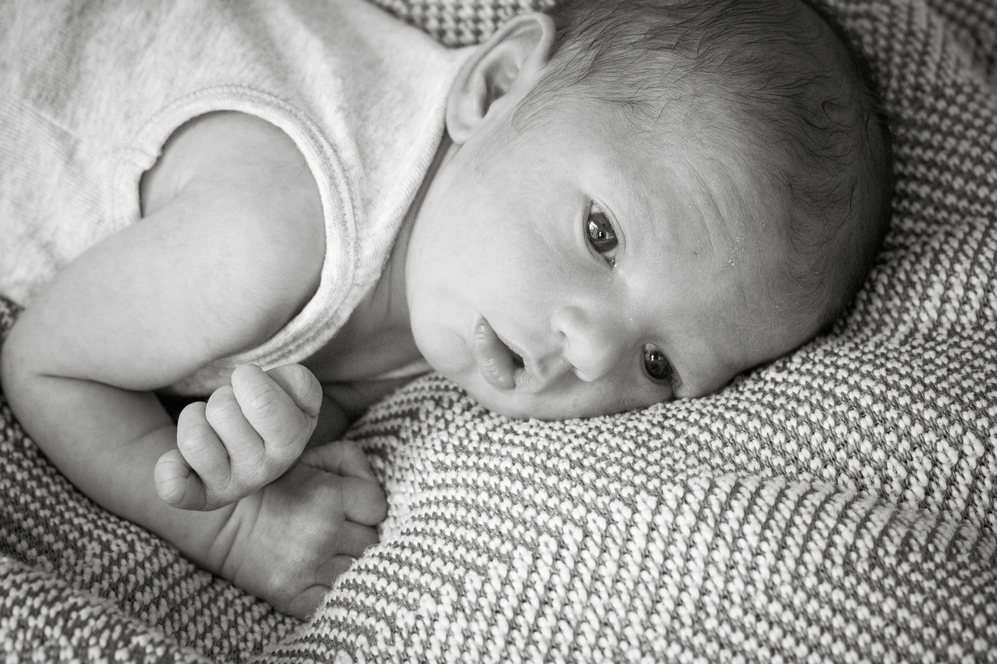 Primrose Hill newborn & maternity portraits London Children Photography 