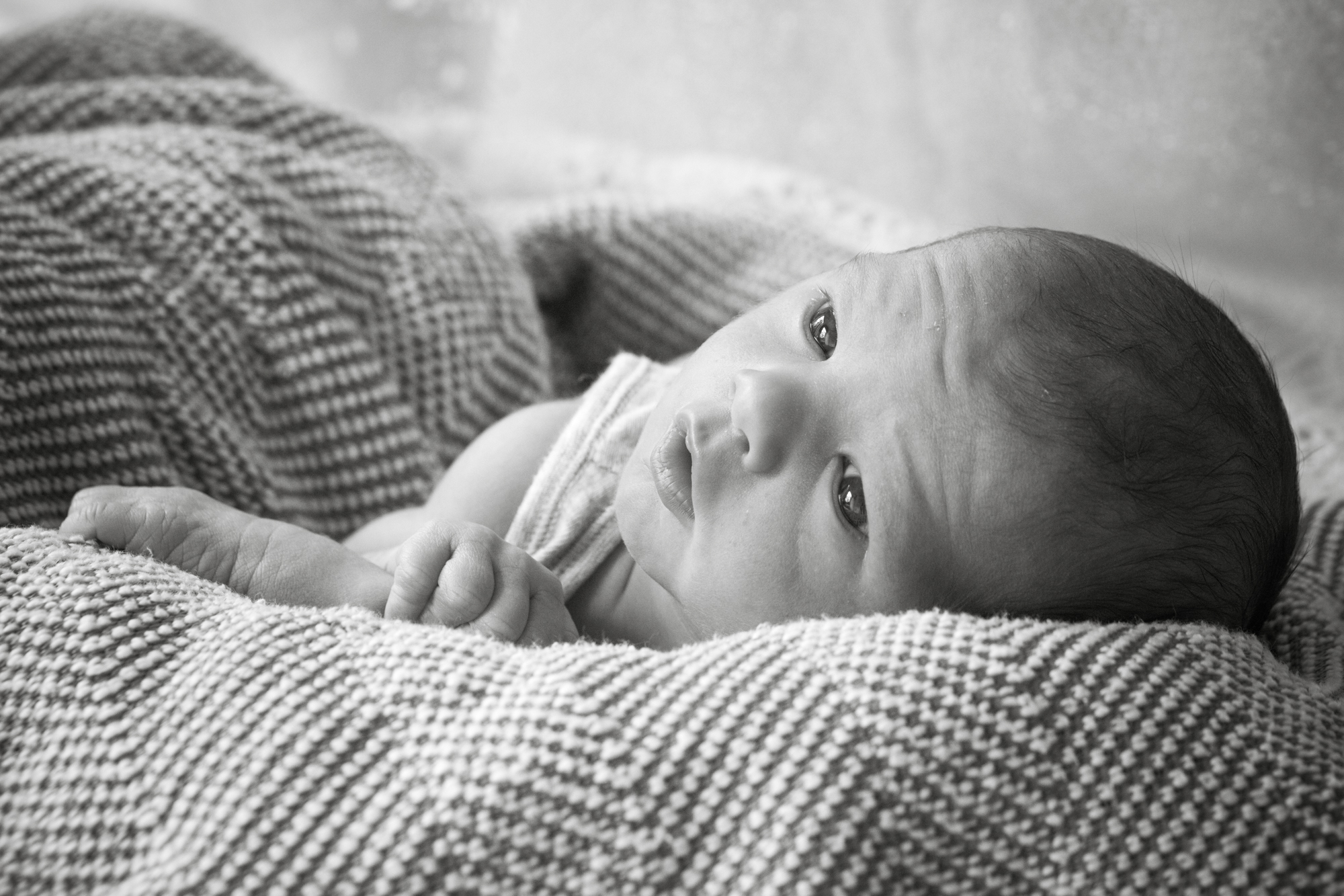 Primrose Hill newborn & maternity portraits London Children Photography 