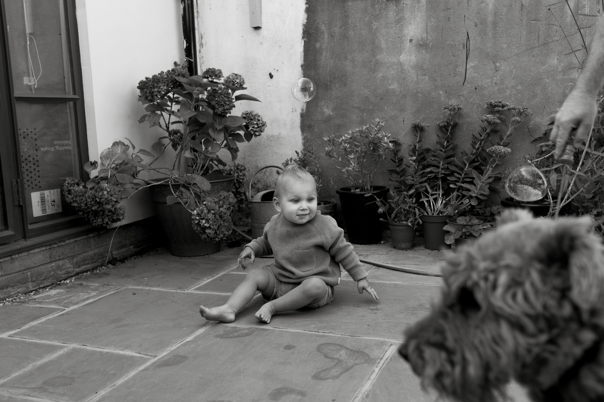 Natural light family portrait photographer, London London Children Photography 