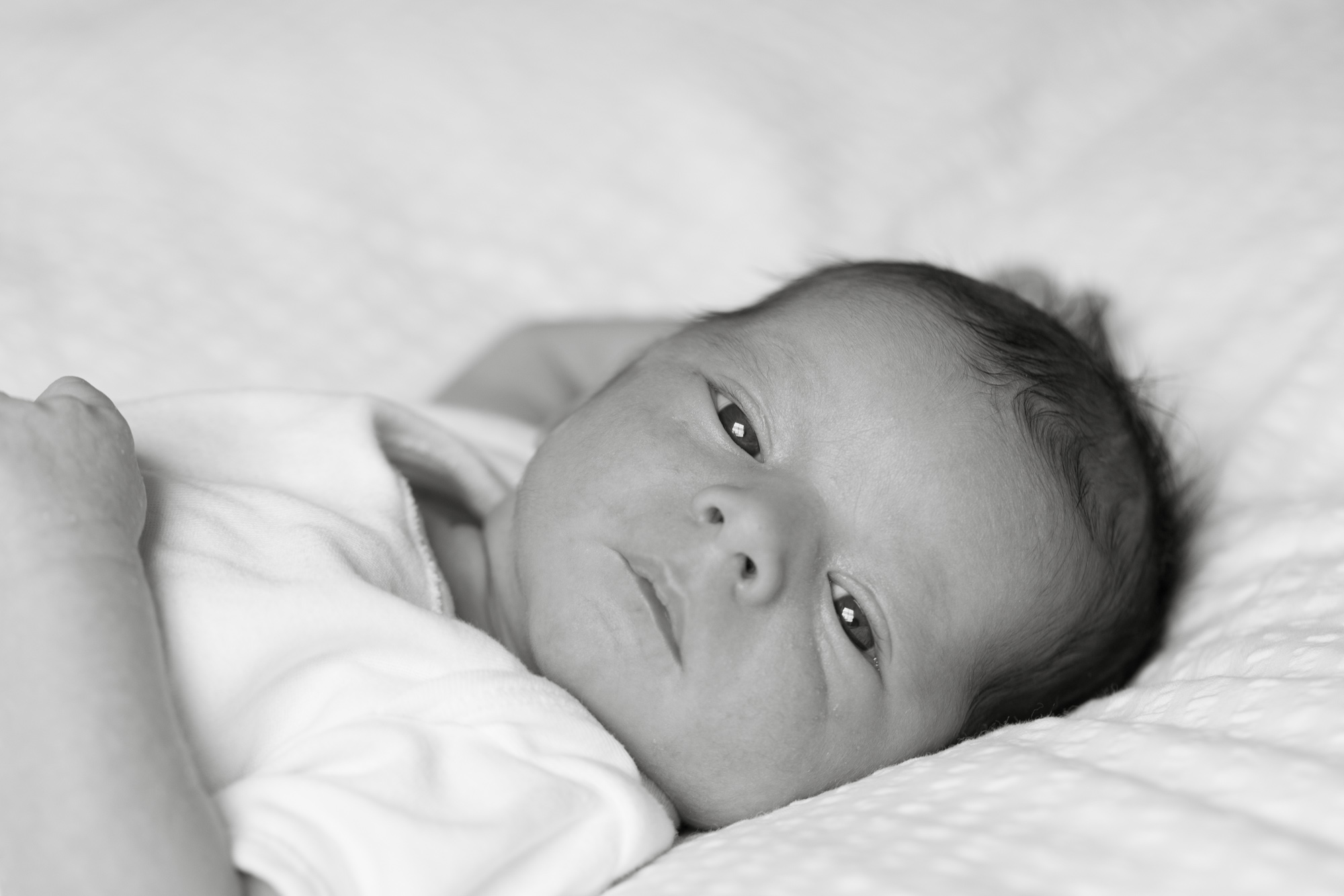 Natural newborn baby portrait photography London London Children Photography 