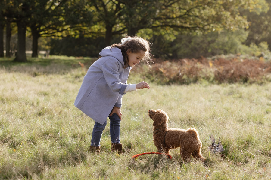 Richmond Park, London...family portrait photography in autumn London Children Photography 