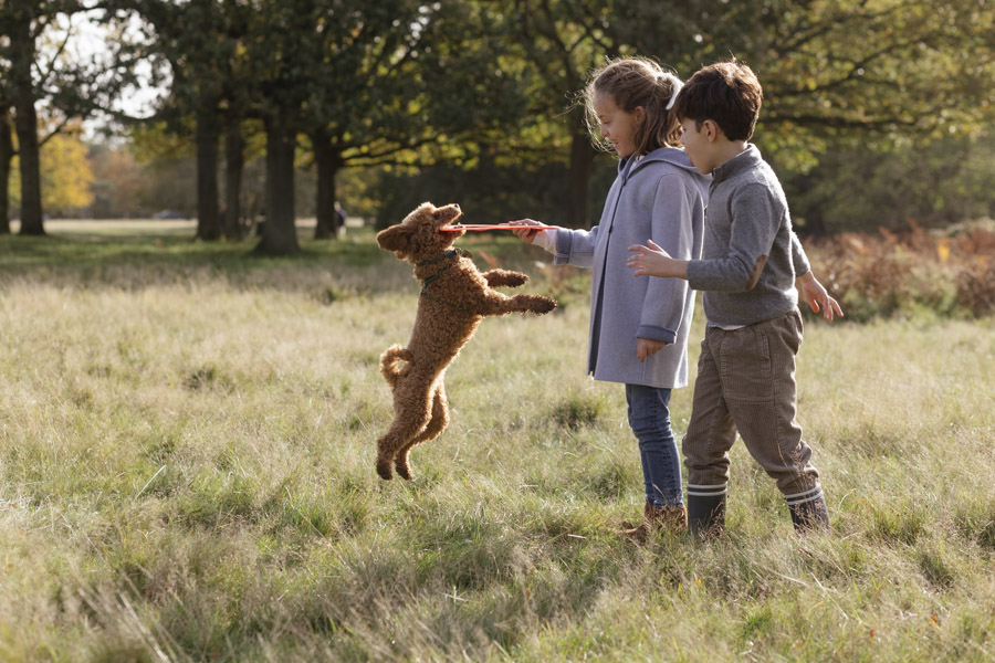 Richmond Park, London...family portrait photography in autumn London Children Photography 