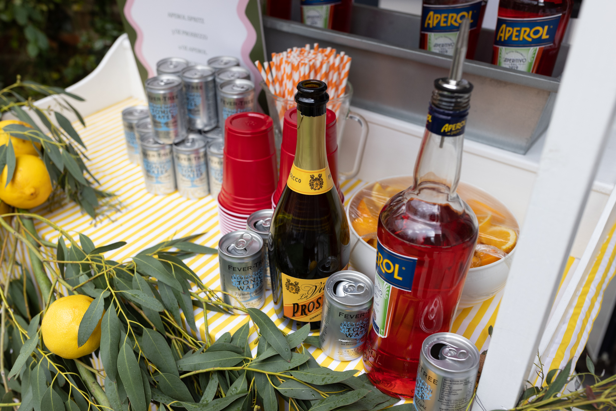 Windsor Christening   part two London Children Photography 